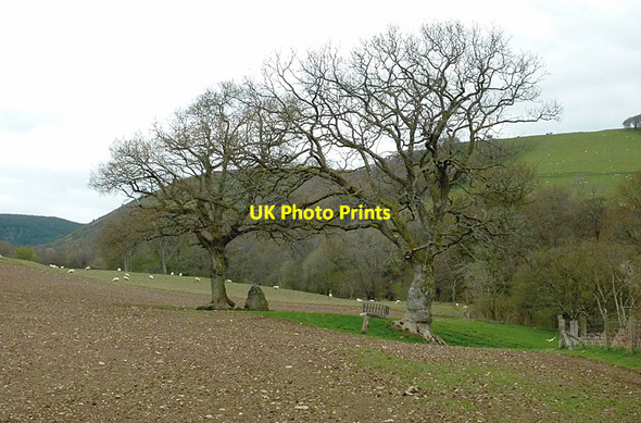 Photo 6"x4" Farmland north-east of Llanafarn-fawr, Powys Newbridge-on-Wye c2012
