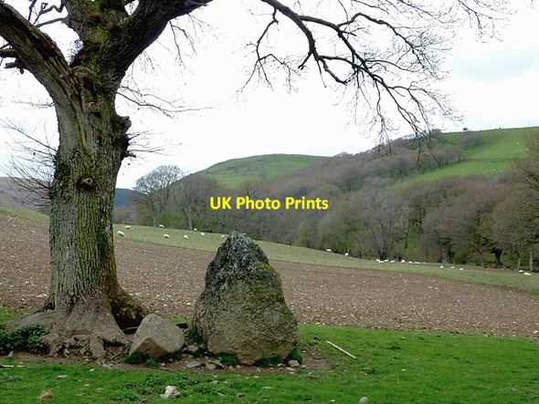 Photo 6"x4" Standing stone  by Cwm Hirnant, Powys Newbridge-on-Wye c2012