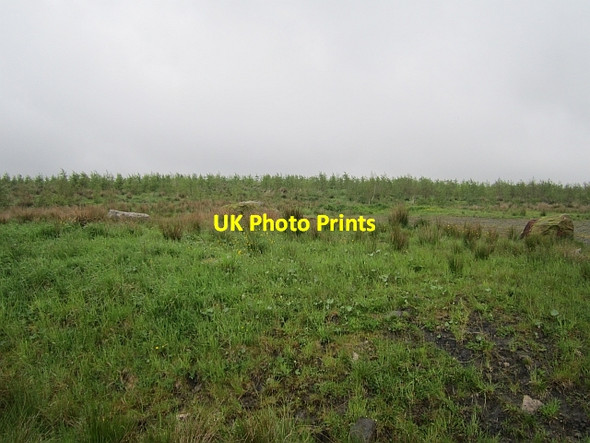Photo 6"x4" Former opencast site, Haywood Auchengray c2012