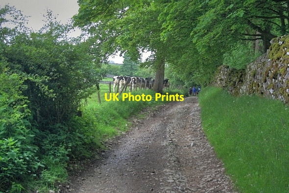 Photo 6"x4" Track to Clapdale Clapham\/SD7469 c2012