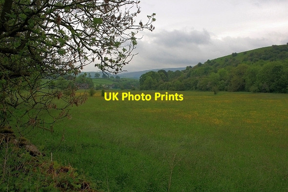 Photo 6"x4" Meadow alongside Ings Beck Hambleton\/SE0553 c2012