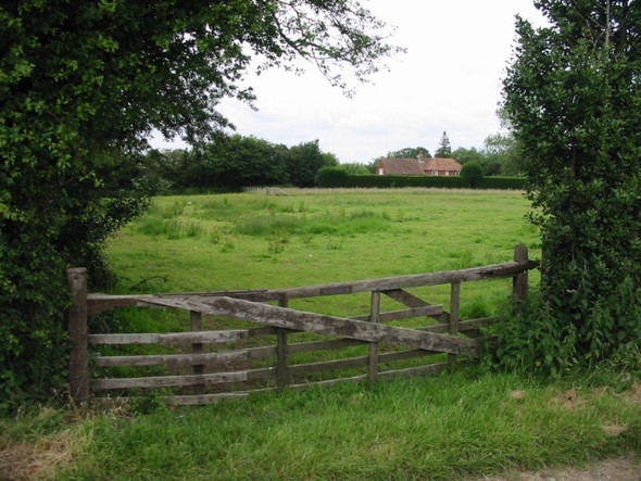 Photo 6"x4" House amongst the trees on Ridge Row Ridge Row c2008