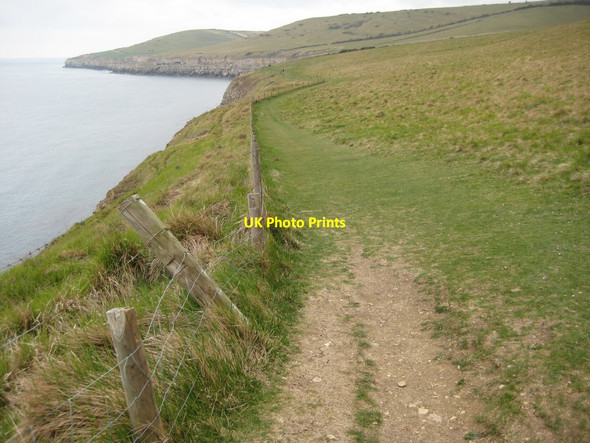 Photo 6"x4" Coast path above Seacombe Cliff Worth Matravers c2012