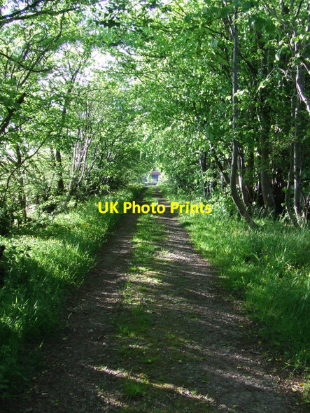 Photo 6"x4" Track leading to Kelly Mains Wemyss Bay\/NS1969 c2012