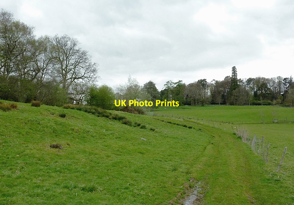 Photo 6"x4" Pasture west of Newbridge-on-Wye, Powys Newbridge-on-Wye c2012
