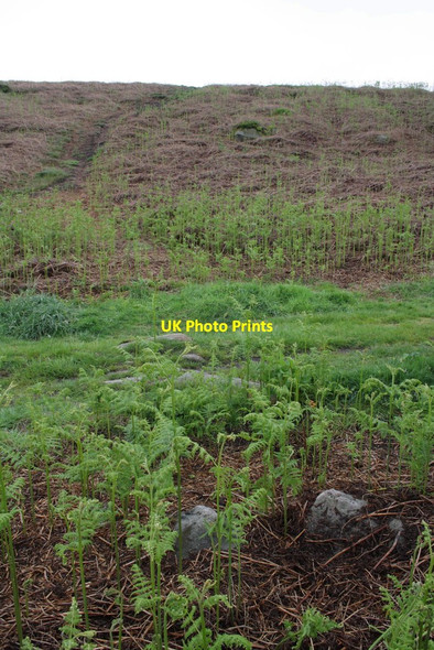 Photo 6"x4" Footpath on Baildon Moor Baildon c2012