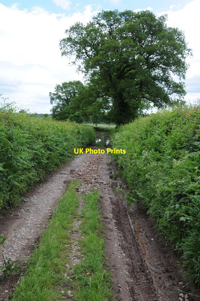Photo 6"x4" Track and right of way Bryngwyn\/SO3909 c2012