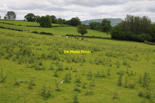 Photo 6"x4" Farmland near Cefn Coch Farm Llanarth\/SO3710 c2012