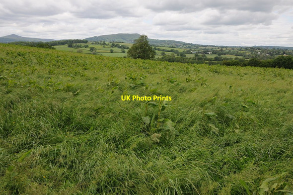 Photo 6"x4" Farmland near Coed Morgan Coed Morgan c2012