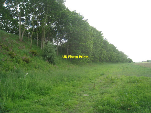 Photo 6"x4" Railway embankment near Hunworth Hunworth c2012