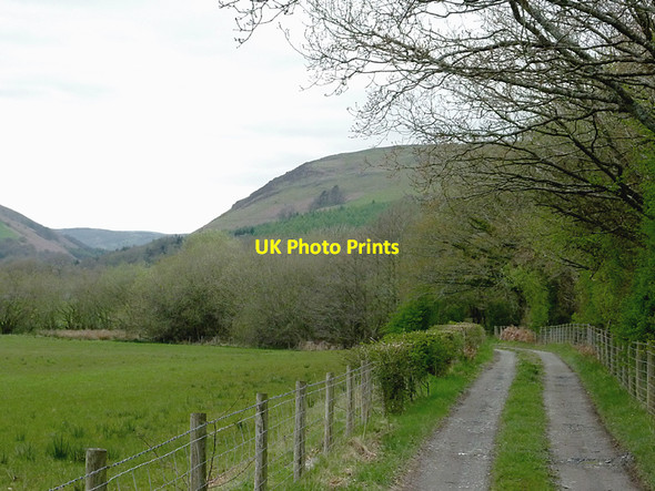 Photo 6"x4" Farm road to Dyfnant near Newbridge, Powys Disserth c2012