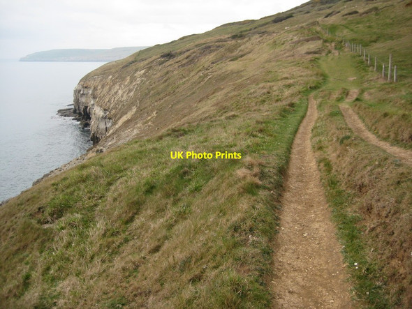 Photo 6"x4" South West Coast Path - Isle of Purbeck Swanage c2012