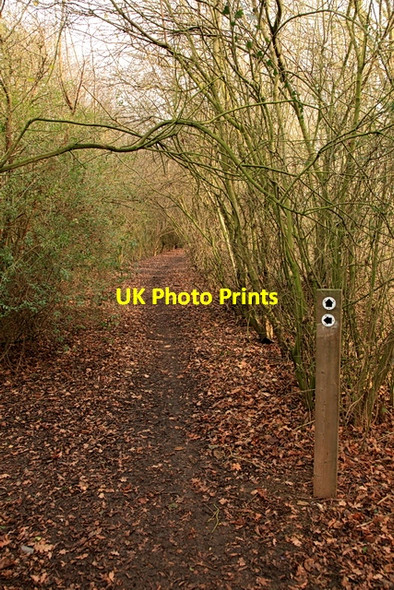 Photo 6"x4" Footpath, Mansell Wood Oakington c2012