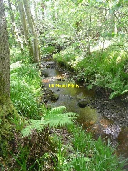 Photo 6"x4" Glen Aln Burn Bolton\/NU1013 c2012