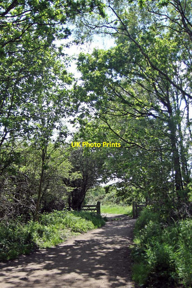 Photo 6"x4" Gateway, Thurstaston Common Heswall c2012