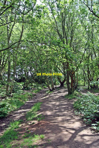 Photo 6"x4" Approaching School Lane, Thurstaston Common Heswall c2012