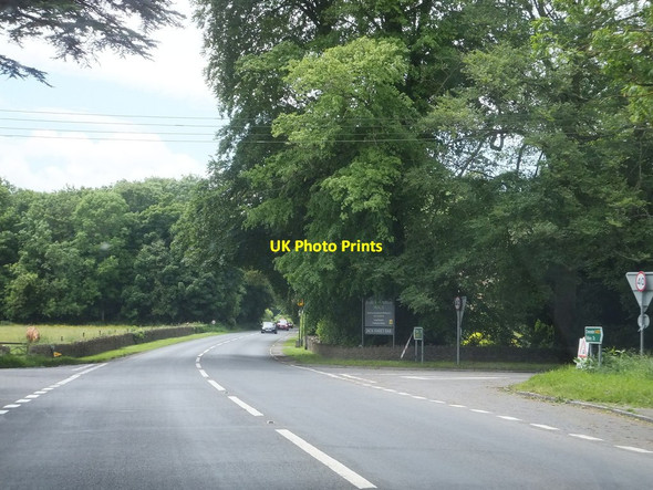Photo 6"x4" Crossroads near Westonbirt Doughton\/ST8791 c2012