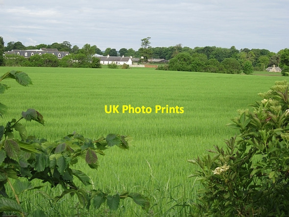 Photo 6"x4" Clifton Mains Bonnington\/NT1169 c2012