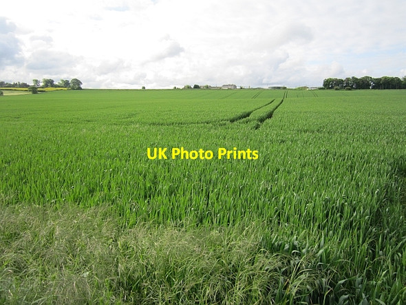 Photo 6"x4" Arable land off Clifton Road Bonnington\/NT1169 c2012