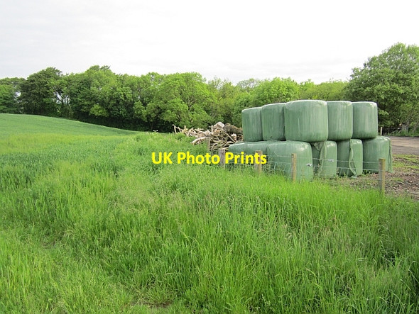 Photo 6"x4" Silage store Bonnington\/NT1169 c2012