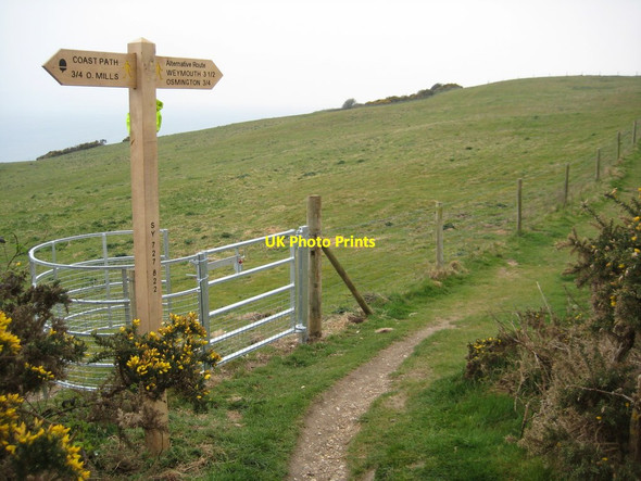 Photo 6"x4" Signpost on the SWCP near Osmington Osmington c2012
