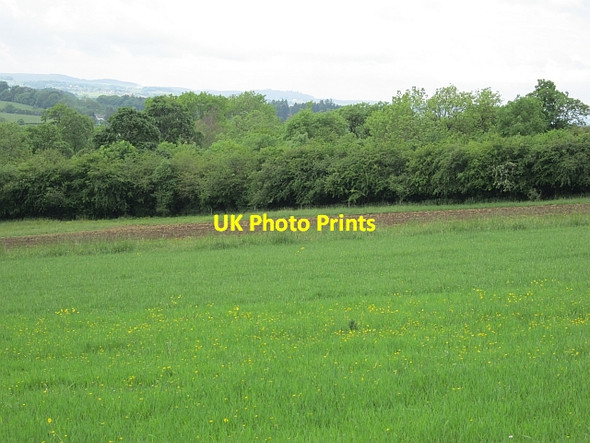 Photo 6"x4" Crop rotation demonstration Braehead\/NS5955 c2012