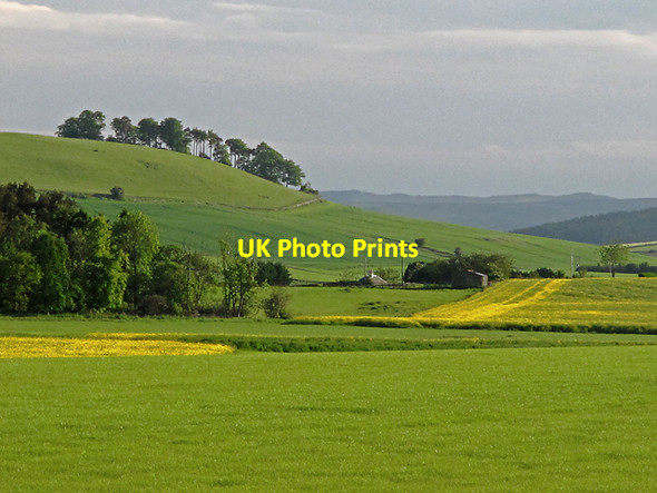 Photo 6"x4" Farmland west of Rathillet Rathillet c2012
