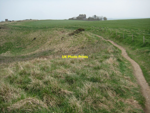 Photo 6"x4" The coast path near Whitenothe Cottages Chaldon Herring or East Chaldon c2012