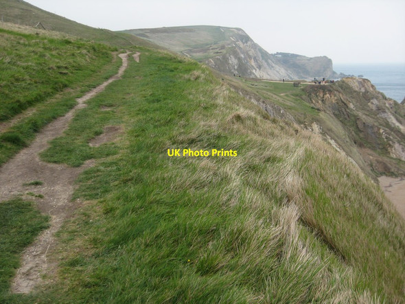 Photo 6"x4" Coast path above Durdle Door West Lulworth c2012