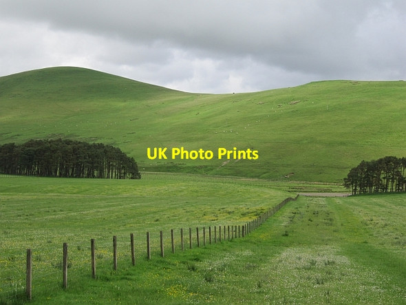 Photo 6"x4" Black Hill Abington\/NS9323 c2012