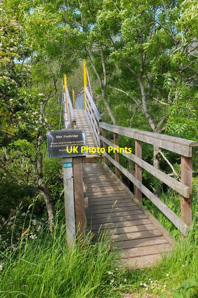 Photo 6"x4" Elba footbridge Abbey St Bathans c2012