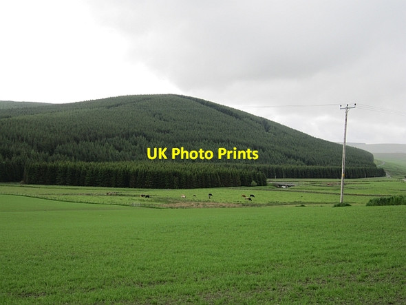 Photo 6"x4" Farmland at Crawfordjohn Crawfordjohn c2012