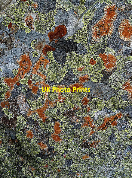 Photo 6"x4" A lichen-covered stone at Fans Law Talla Linnfoots c2012