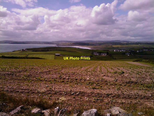 Photo 6"x4" Fields in Dundeady Ardfield c2012