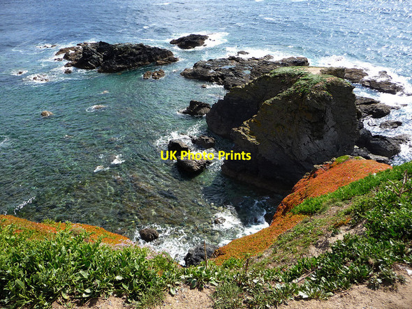 Photo 6"x4" Polpeor Island Lizard c2012
