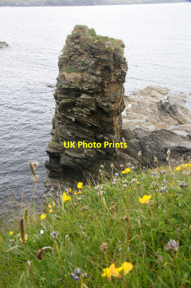 Photo 6"x4" Stack of Nestig, Westing Underhoull c2012