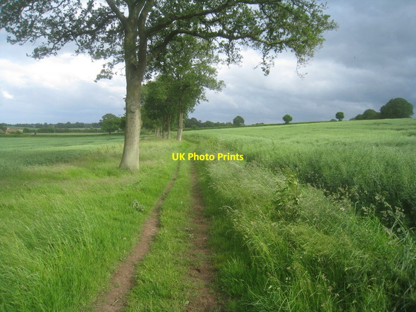 Photo 6"x4" Footpath to Ivy Down Lane Church Oakley c2012