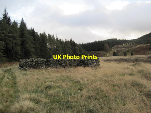 Photo 6"x4" Sheepfold below Jerry's Knowe Ridley Stokoe c2011