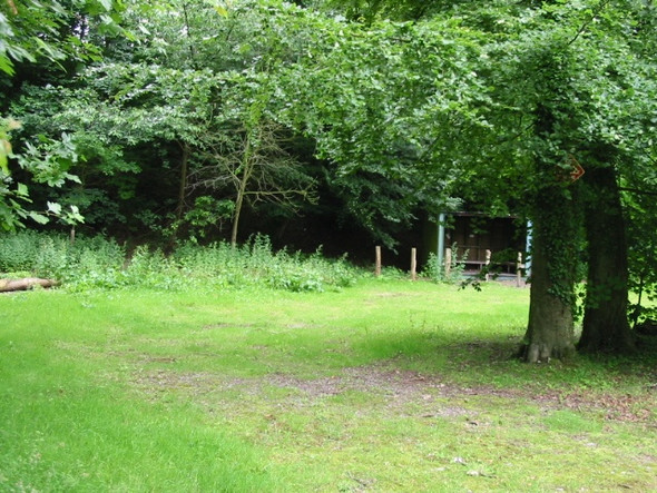 Photo 6"x4" Clearing in Limekiln Plantation used by the military Ridge Row c2008