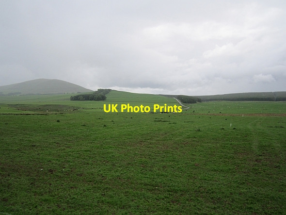 Photo 6"x4" Field by Burnhead Cottage Newton\/NS9331 c2012