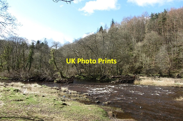 Photo 6"x4" Avon Water Millheugh\/NS7551 c2012