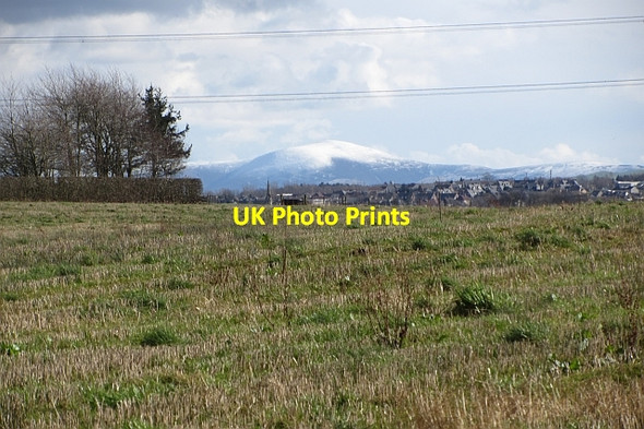 Photo 6"x4" Stubble, Chatelherault Millheugh\/NS7551 c2012