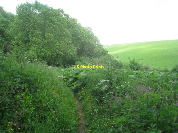 Photo 6"x4" Bridleway at Normanby Dales Normanby le Wold c2012