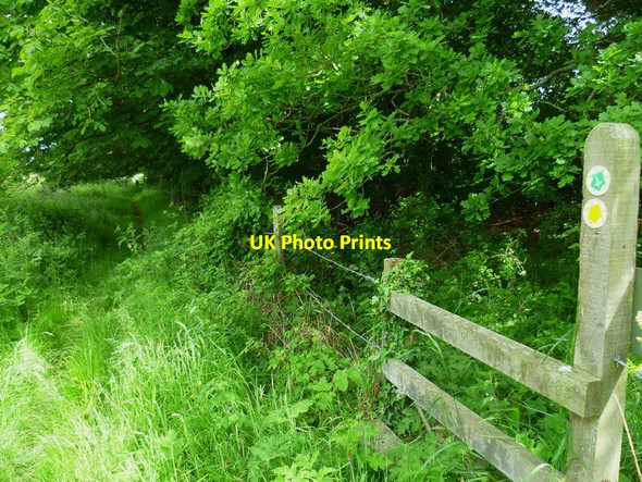 Photo 6"x4" The Solent Way (66) Lymington c2012