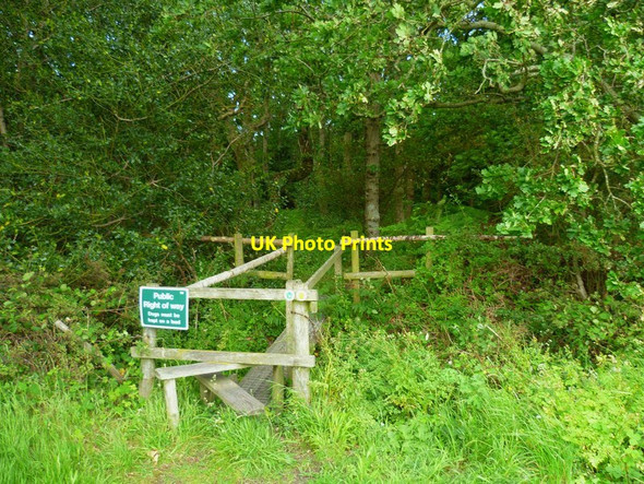 Photo 6"x4" The Solent Way (79) East End\/SZ3697 c2012