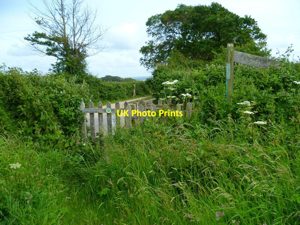 Photo 6"x4" The Solent Way (81) East End\/SZ3697 c2012