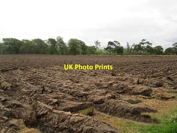 Photo 6"x4" A newly ploughed field Newlands\/NT1165 c2012
