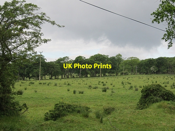 Photo 6"x4" Field, Ainville Little Vantage c2012