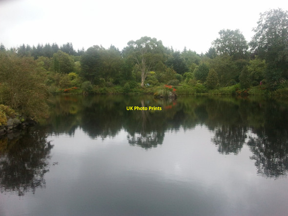 Photo 6"x4" Glenwhan Gardens Dunragit c2011