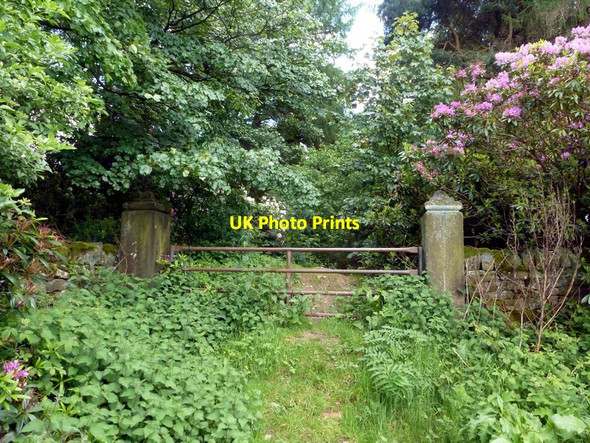 Photo 6"x4" Gateway to Thornseat Lodge Thornseat c2012